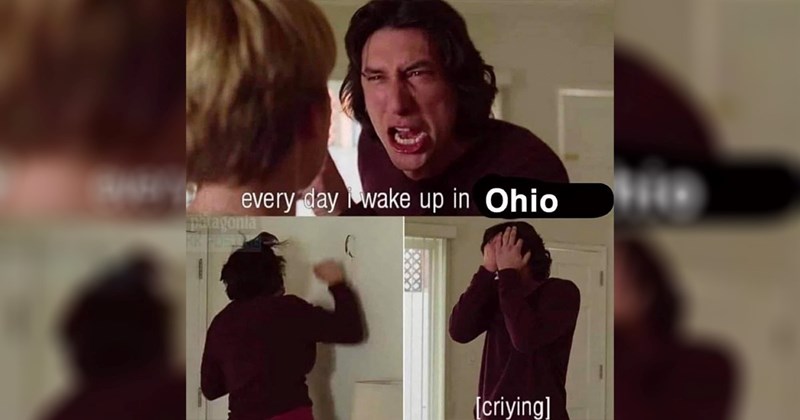 25+ Memes Crying Over Spilled Milk