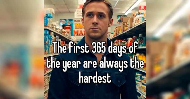 28 Memes Having a Nice Day