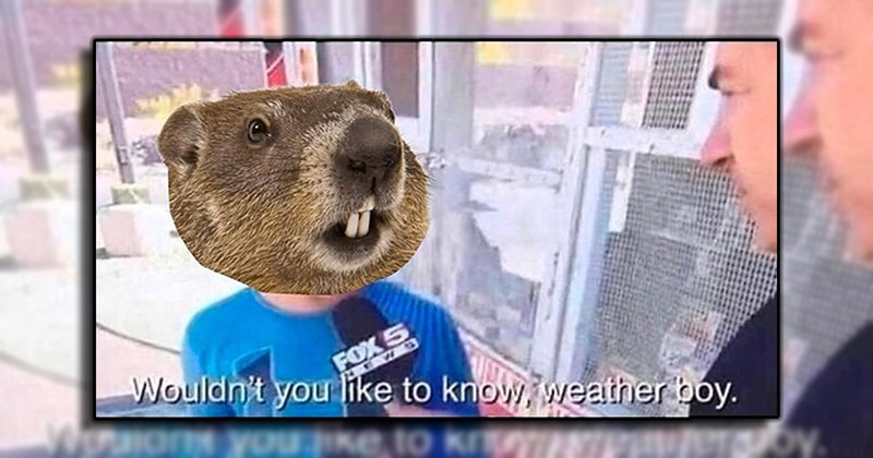 21 Punny Punxsutawney Phil Memes That Predict 6 More Weeks of LOLs Until Spring