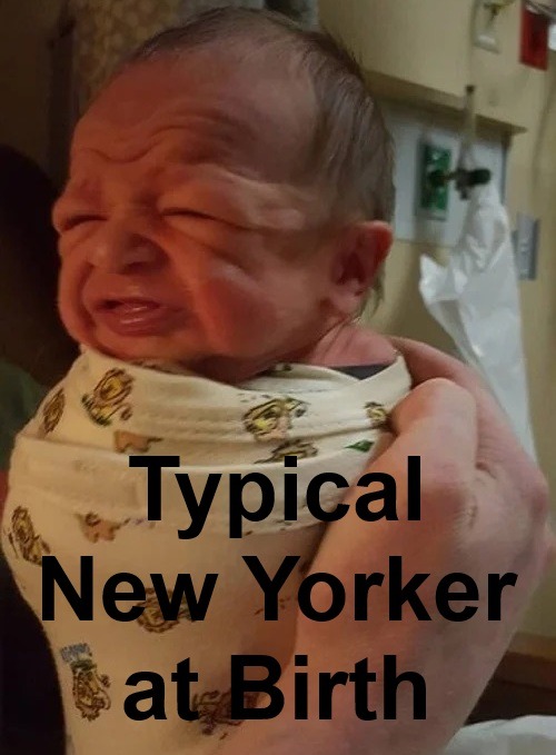 Bronx would be my guess – meme