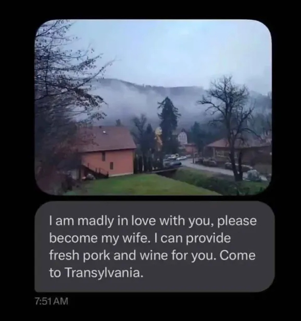 Come to Transylvania – meme