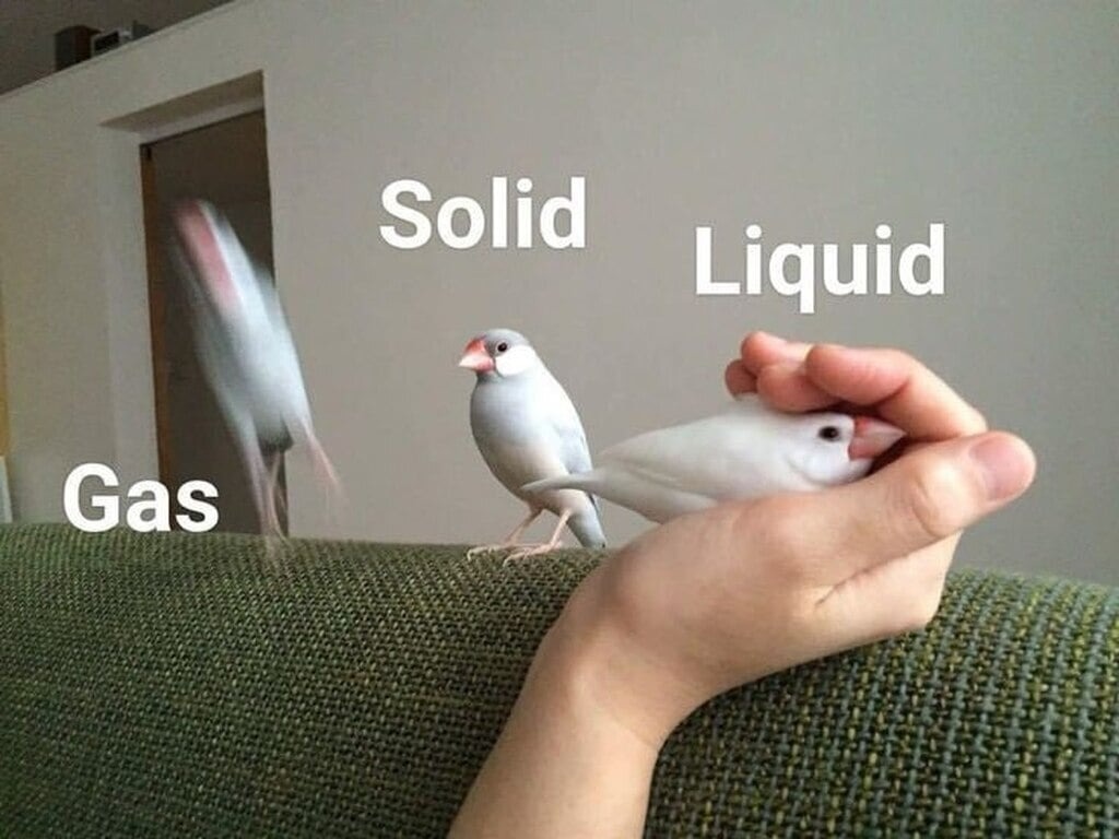 Three states of matter – meme