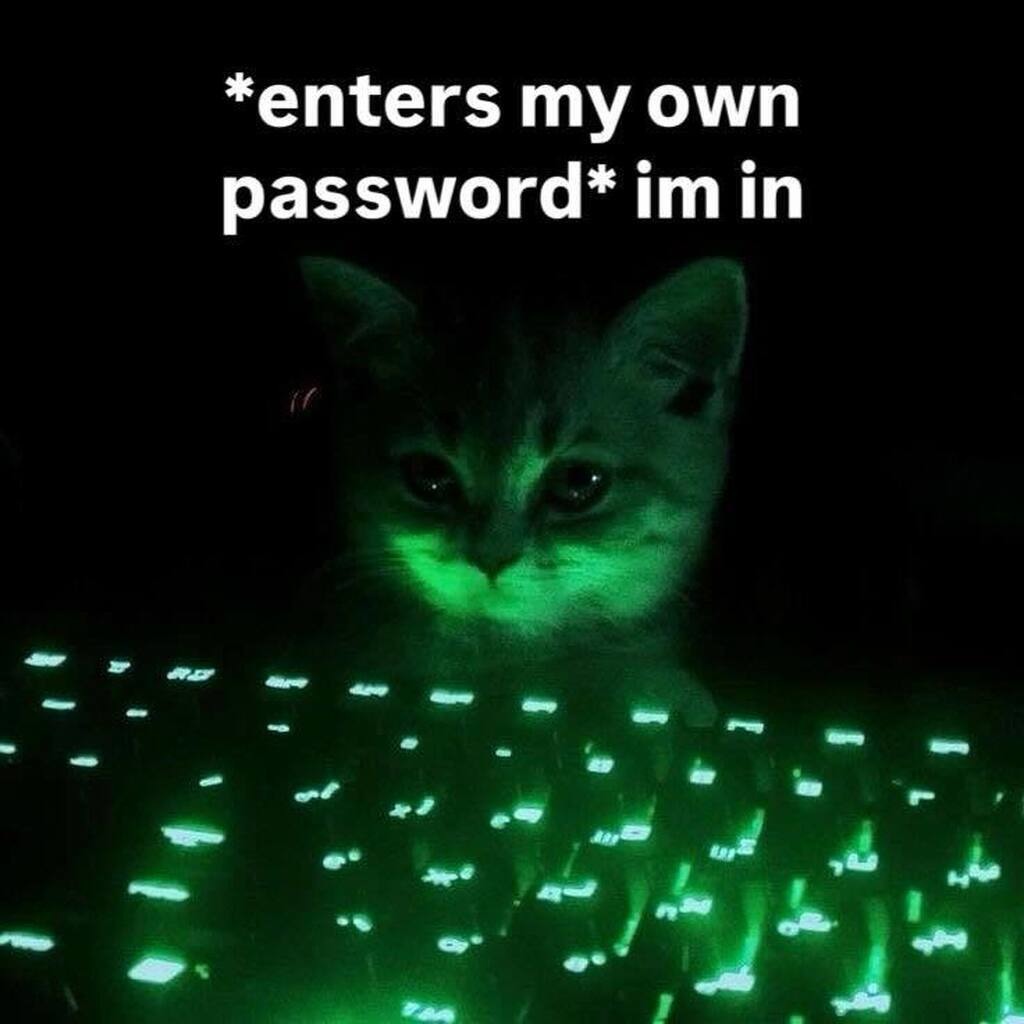 I’m in – meme