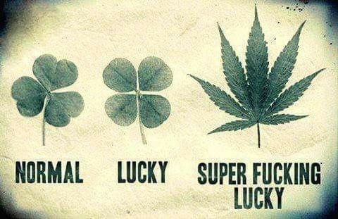 And luckiest? – meme