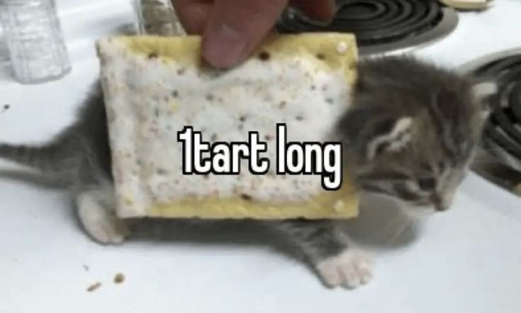 Retart – meme