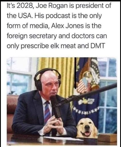 it’s 2028 – meme