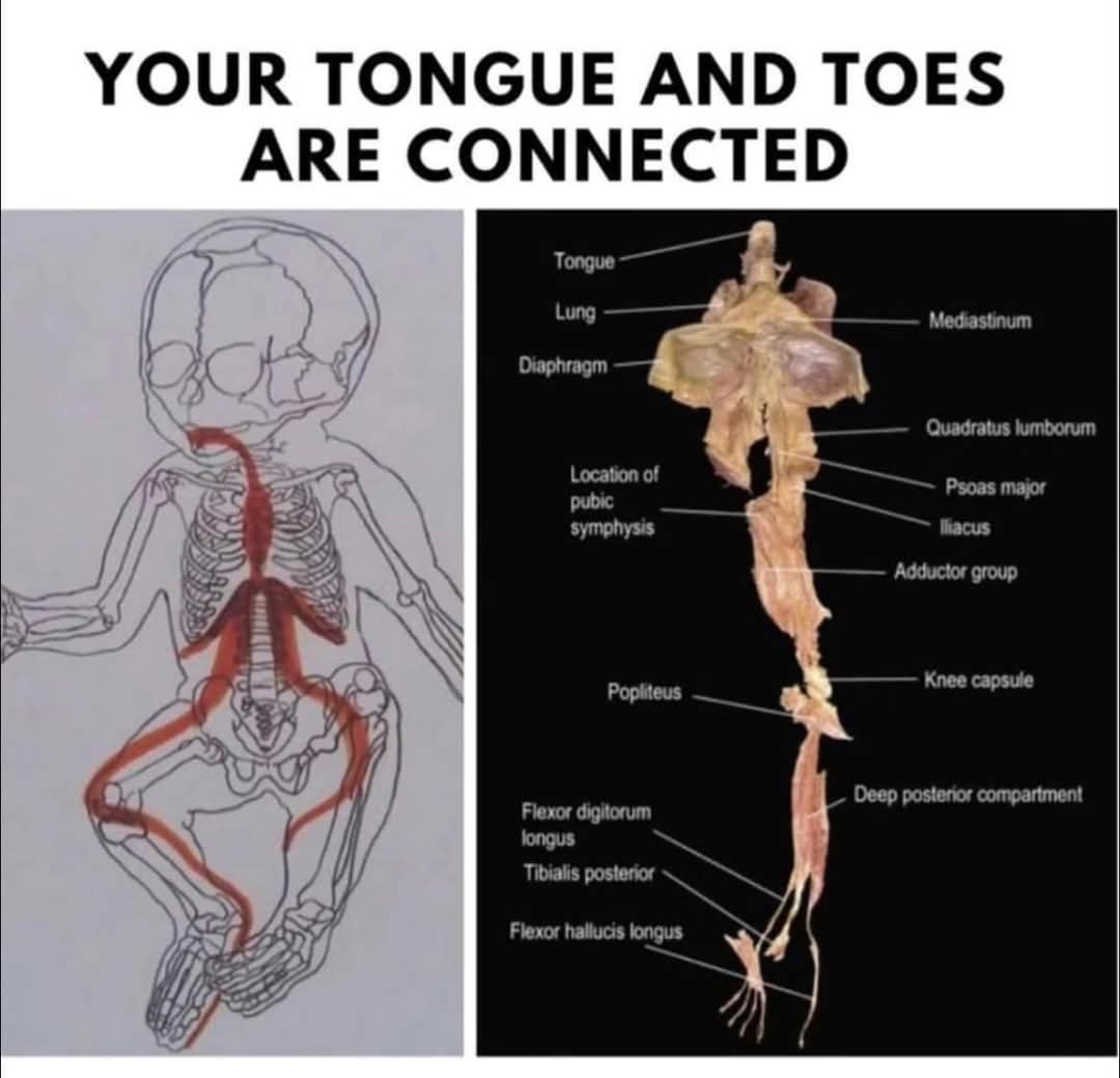 The more you dont know, the better – meme