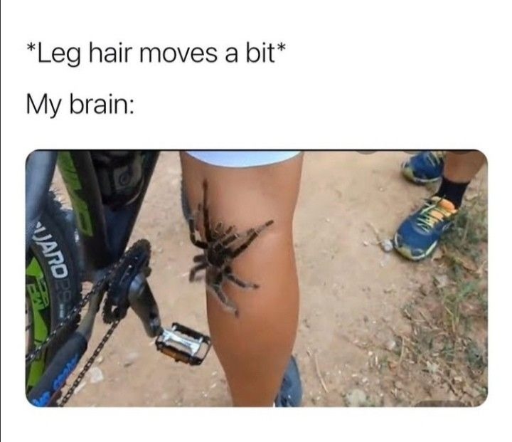 Everyone knows this situation – meme
