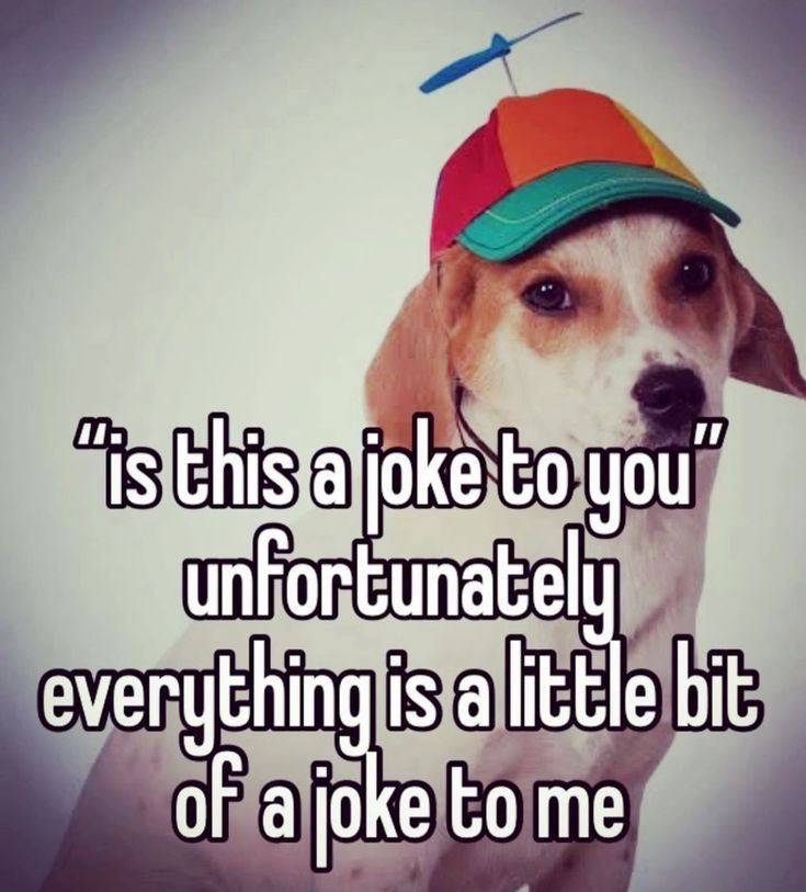 Idk why people get so mad at me? – meme
