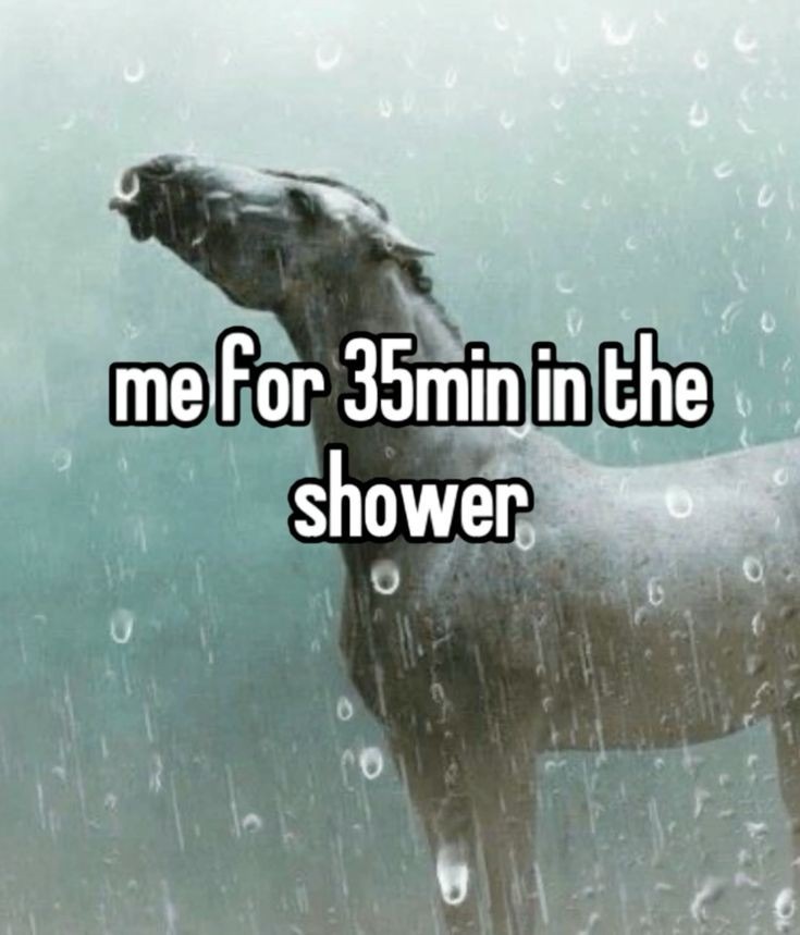 Favorite activity – meme