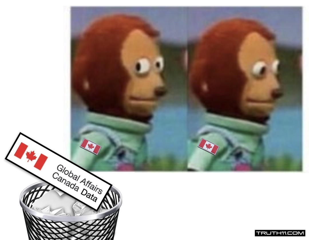 Global Affairs Canada Deletes Entire Public Database of Foreign Aid Spending – meme