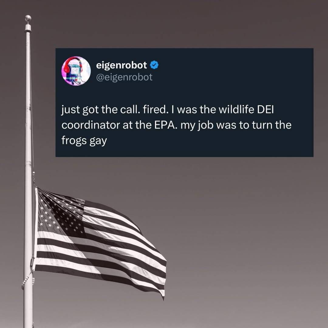 Programming Memes for Coding Geeks (February 9, 2025)