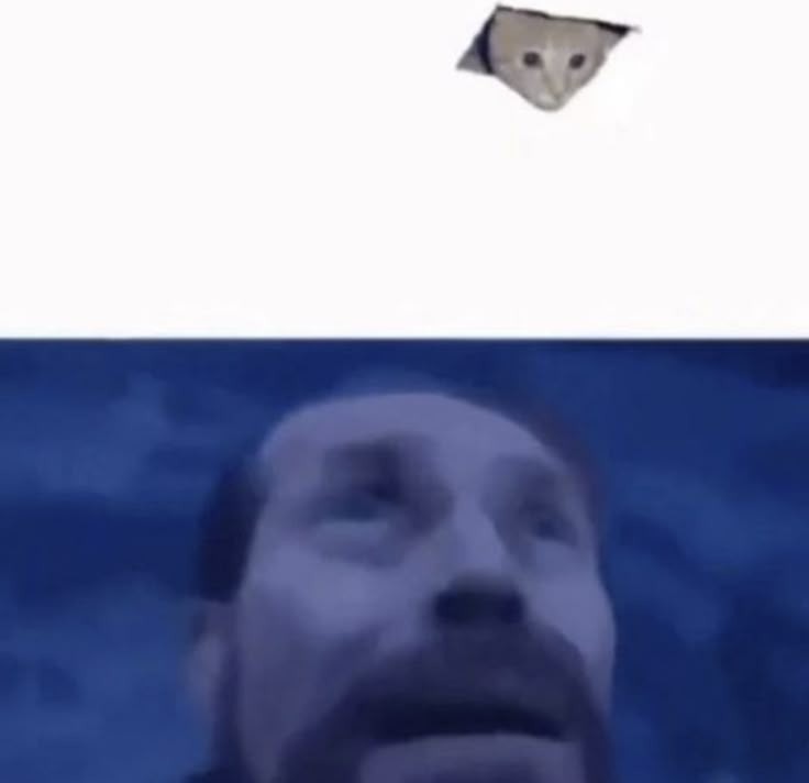 Kity – meme