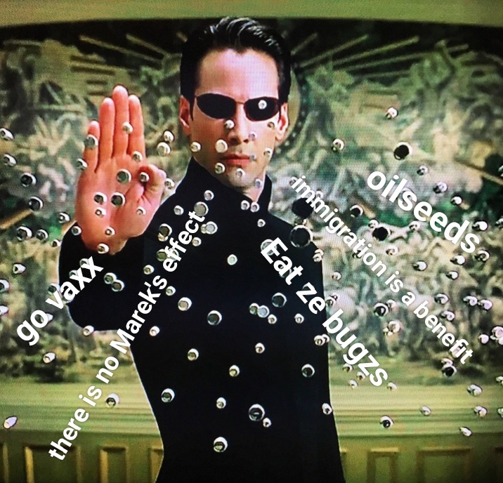Too many bullets to be named – meme
