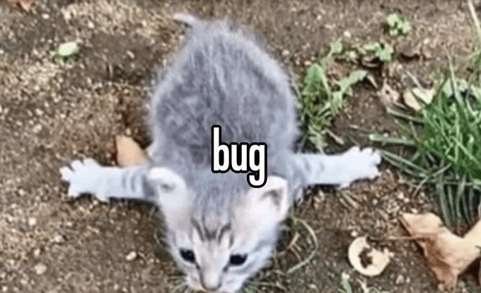 bug – meme
