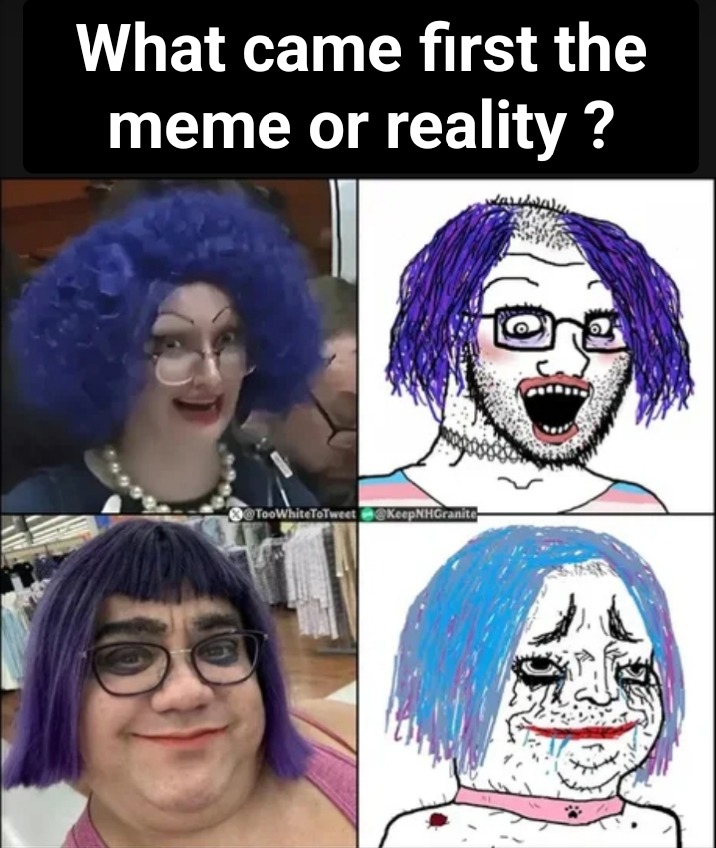 the egg or the chicken ? – meme