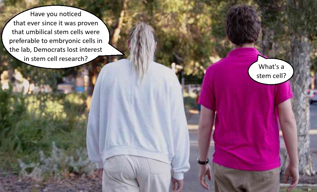 Now that they don’t have to kill anything, you just don’t hear much about stem cells anymore – meme