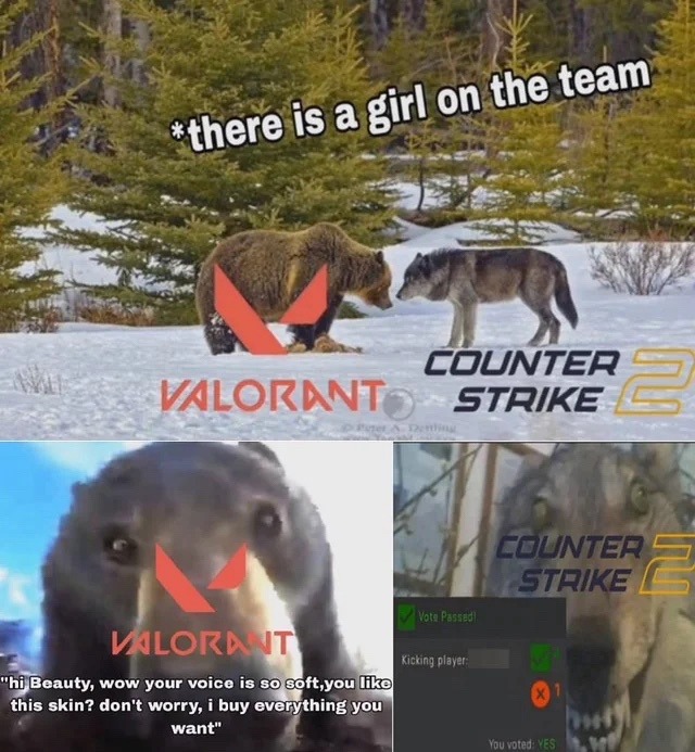 dongs in a girl – meme