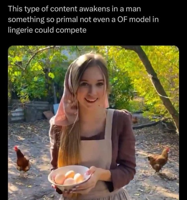 The feminist mind can’t comprehend – meme