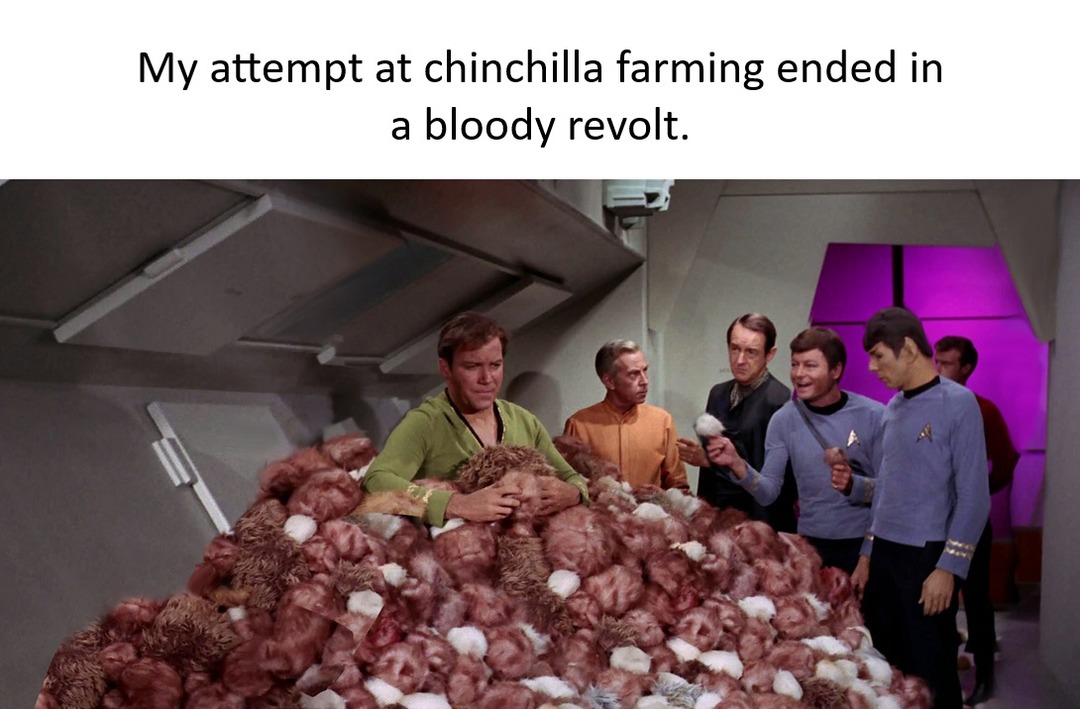 It was touch and go for a while, but I was eventually victorious – meme