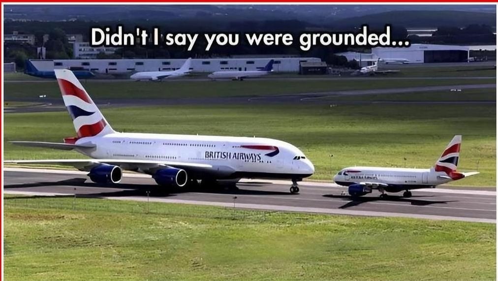 Grounded – meme