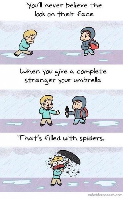 Spiders – meme