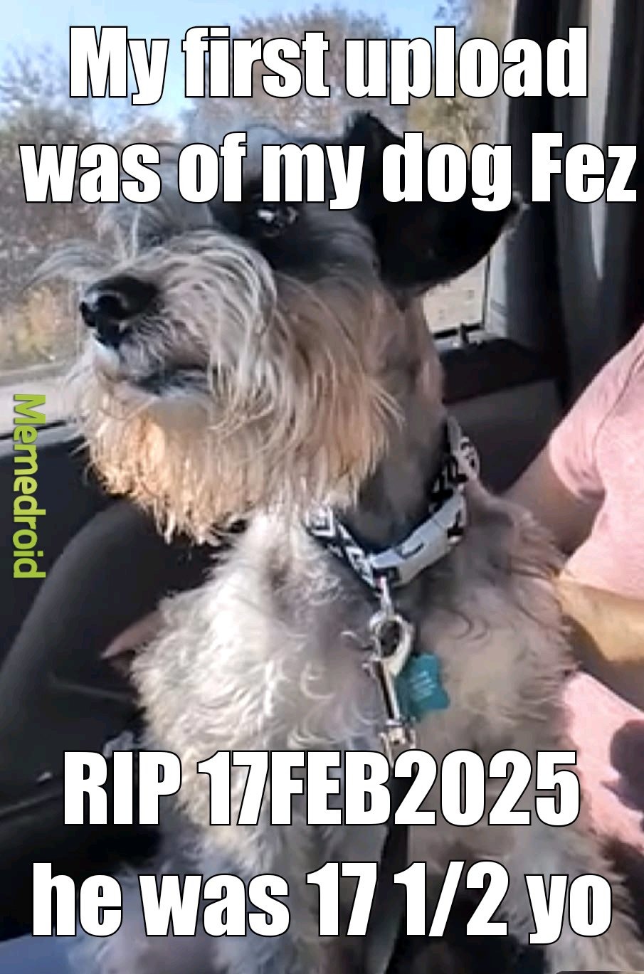 He was ride or die from womb to tomb – meme