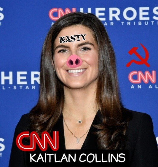 Piglandia – meme