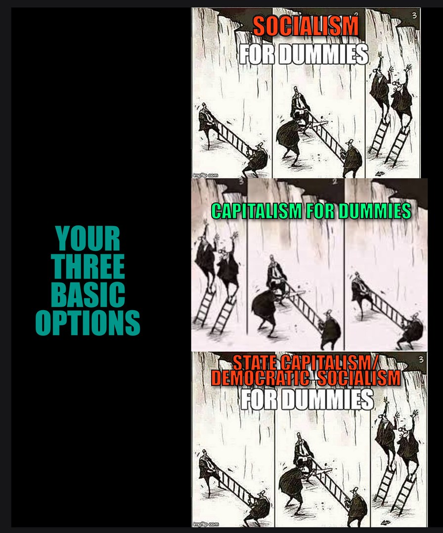 socialism vs capitalism vs state capitlaism – meme