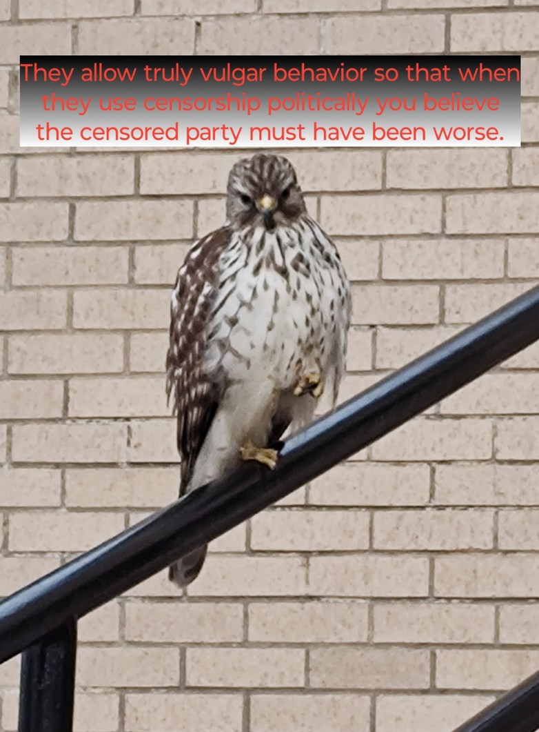 Plausible deniability? Plausible accountability. – meme