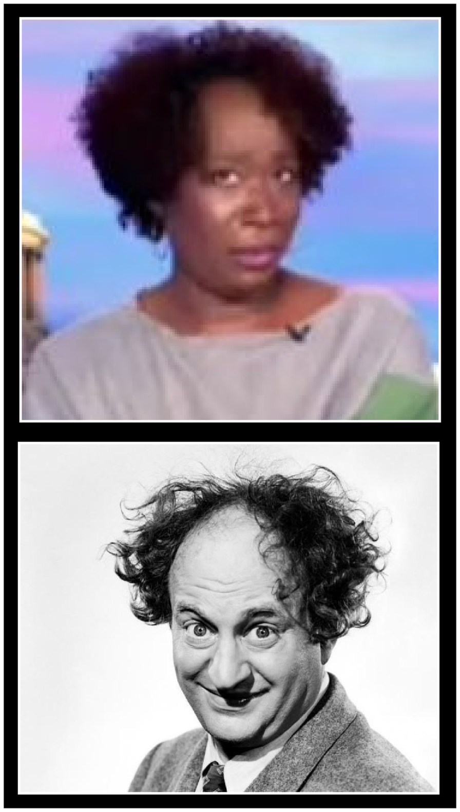 They say everyone has a double. – meme