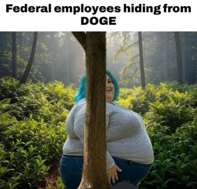 Nice try – meme