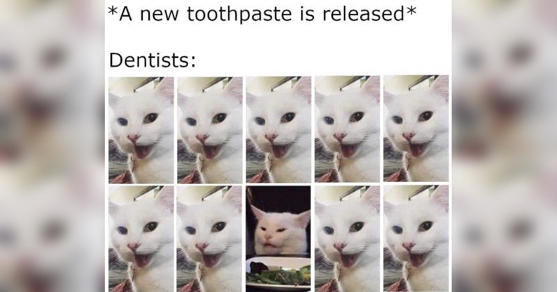 Funniest Cat Memes for Feline Fanatics (February 12, 2025)