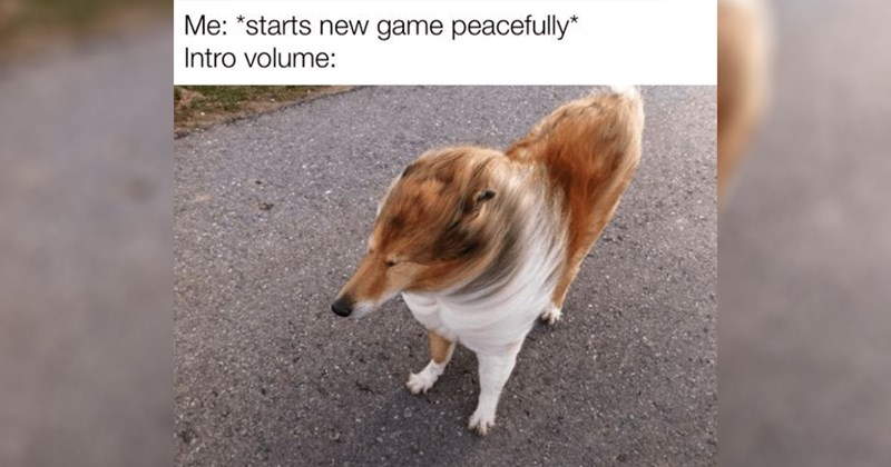 30+ of the Best Gaming Memes of the Week (February 19, 2025)