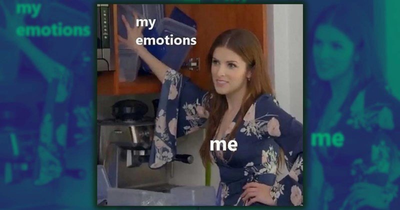 Prescription of 30+ Restless Memes for Scardey Cats Nervous Before Therapy