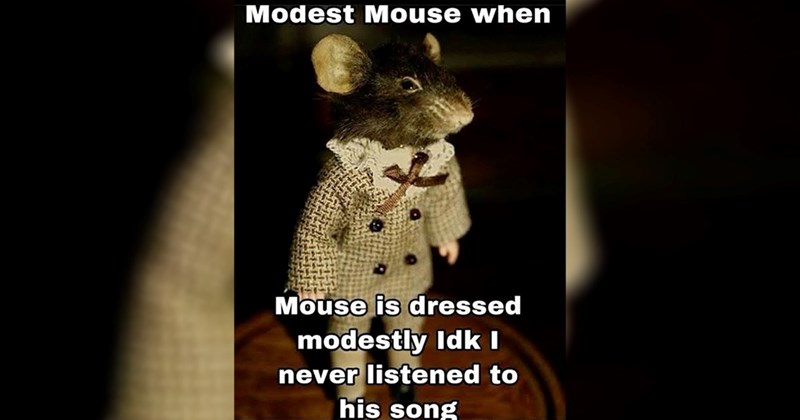 39 Memes That Are Nothing To Sneeze At