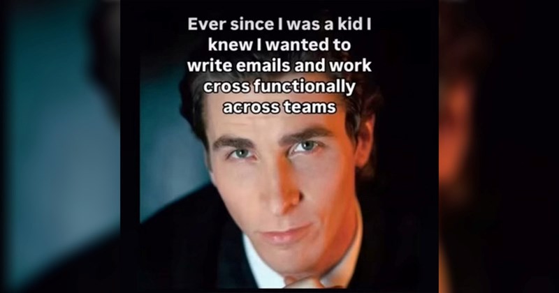 35+ Memes Rustling About in the Kitchen Cupboard