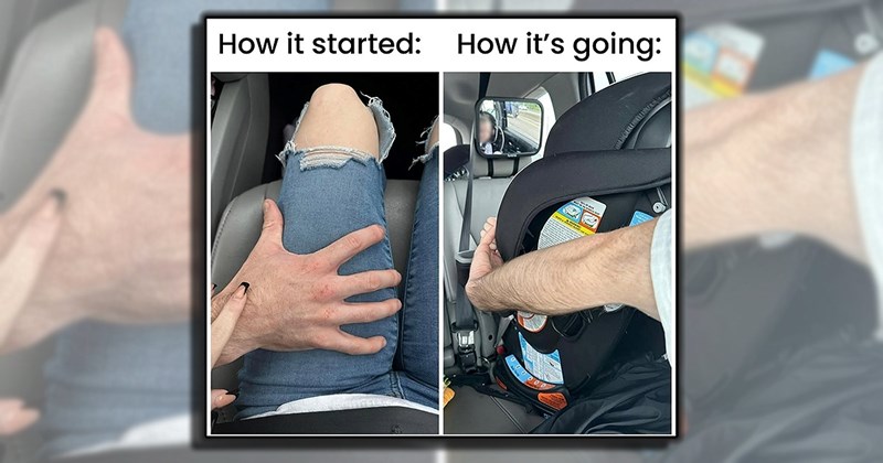 25+ Calming Memes to Soothe the Mind