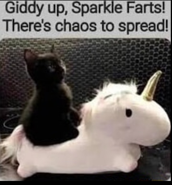 The Funniest Reddit Posts of the Week (February 28, 2025)