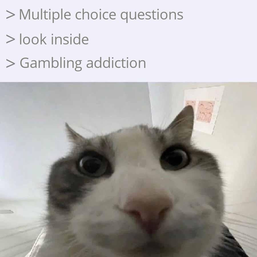 Gambling in the test – meme