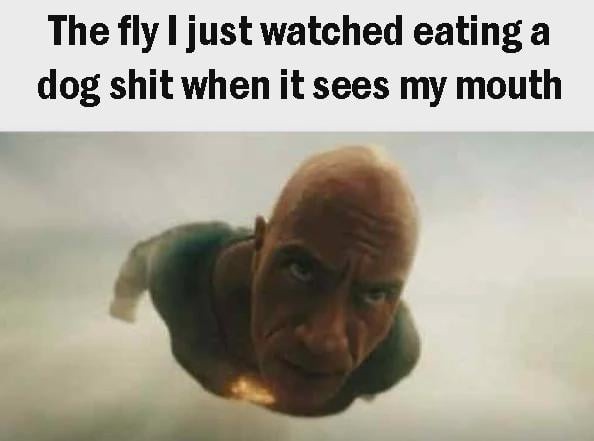 Fly with a mission – meme