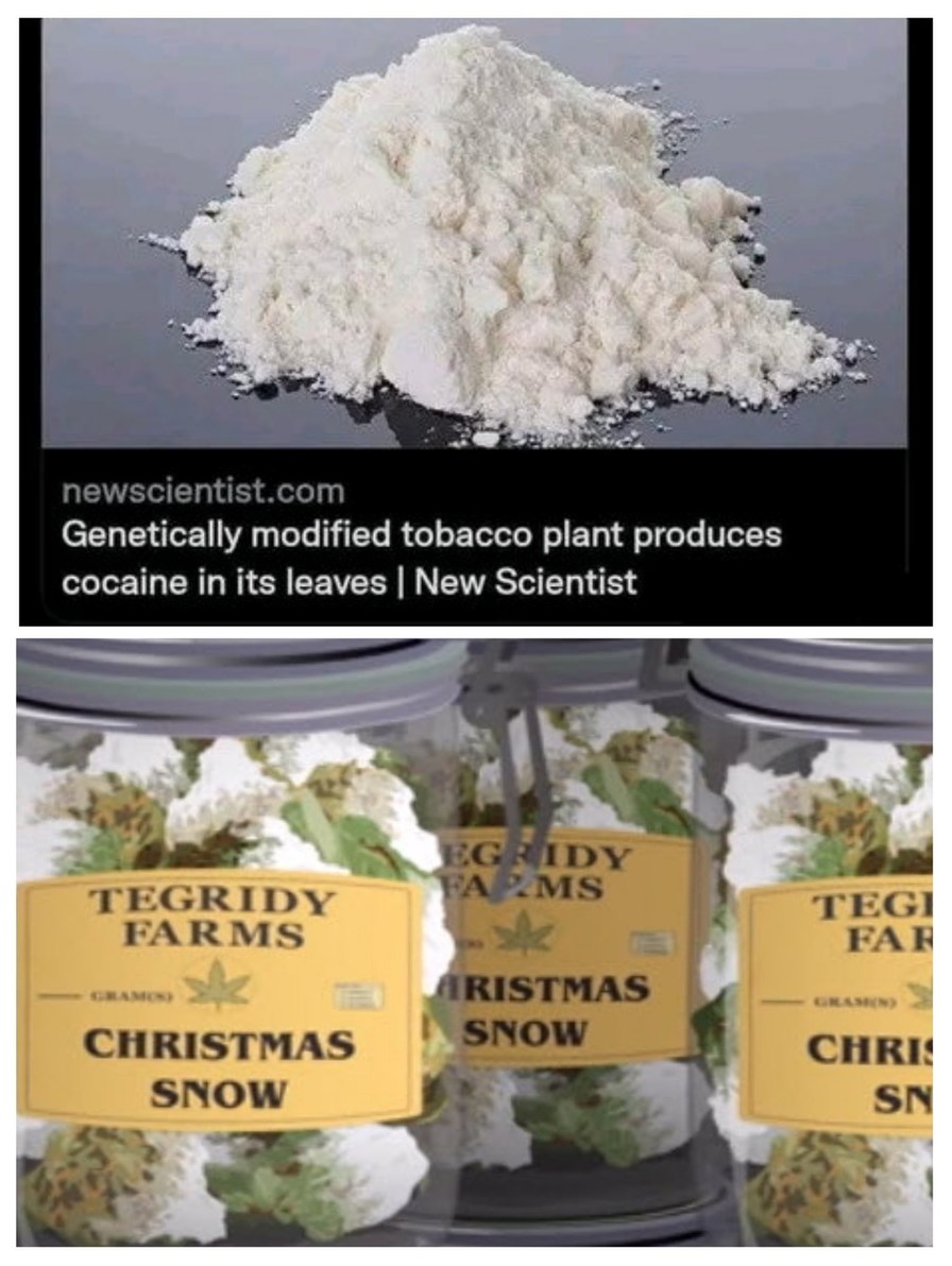 Christmas Snow – meme