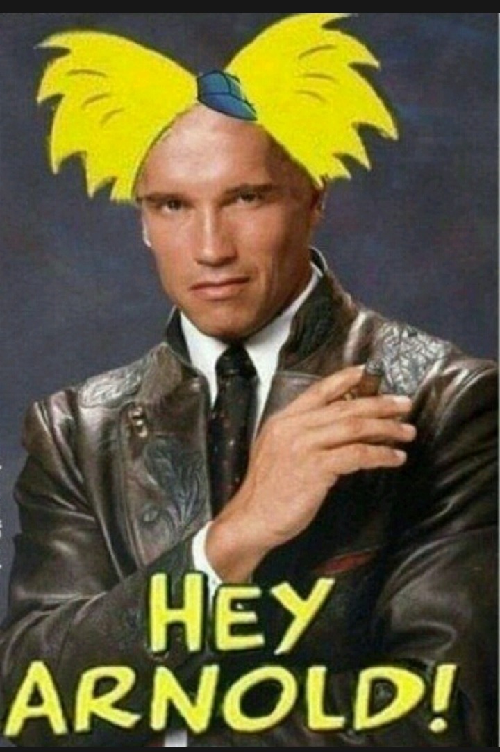 Hooray for Arnold – meme