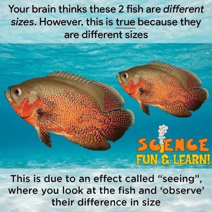 The more u kno – meme