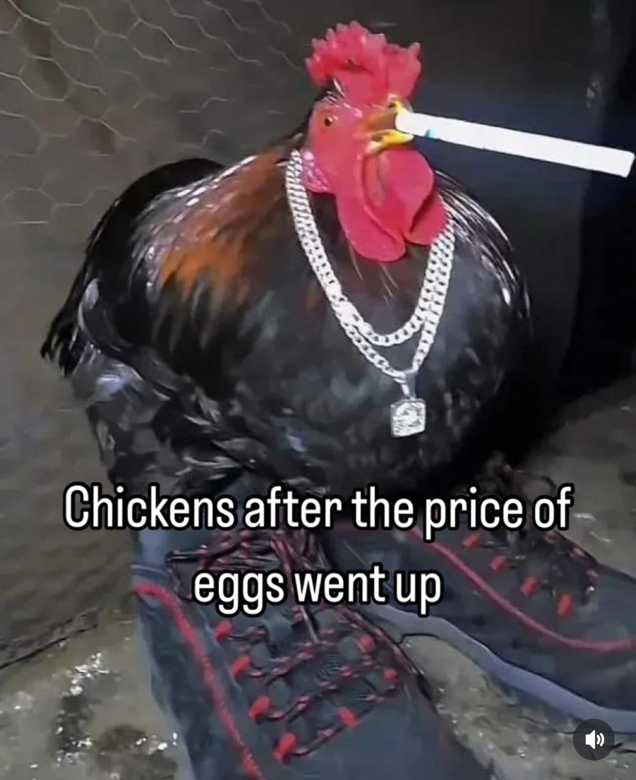 The Funniest Memes You Should Send to the Family Group Chat Right Now