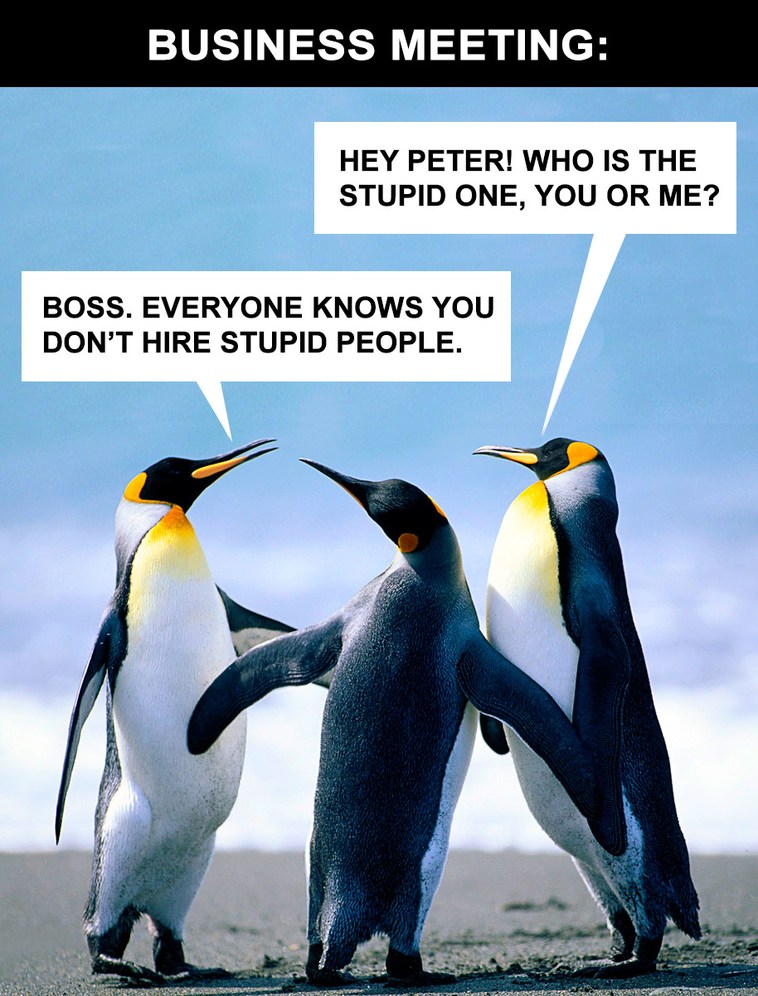 Business Meeting – meme