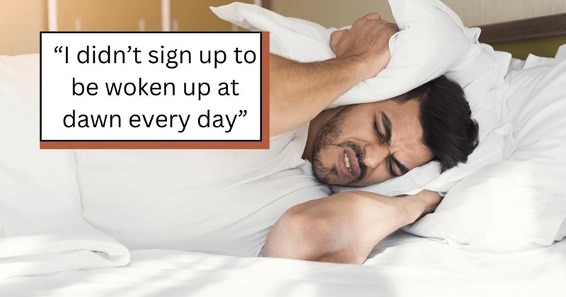 ‘Get used to it’: 23-year-old bails on the family vacation after getting woken up every day at 5 AM by his brother’s screaming kids, then he gets scolded for ‘ruining the trip’